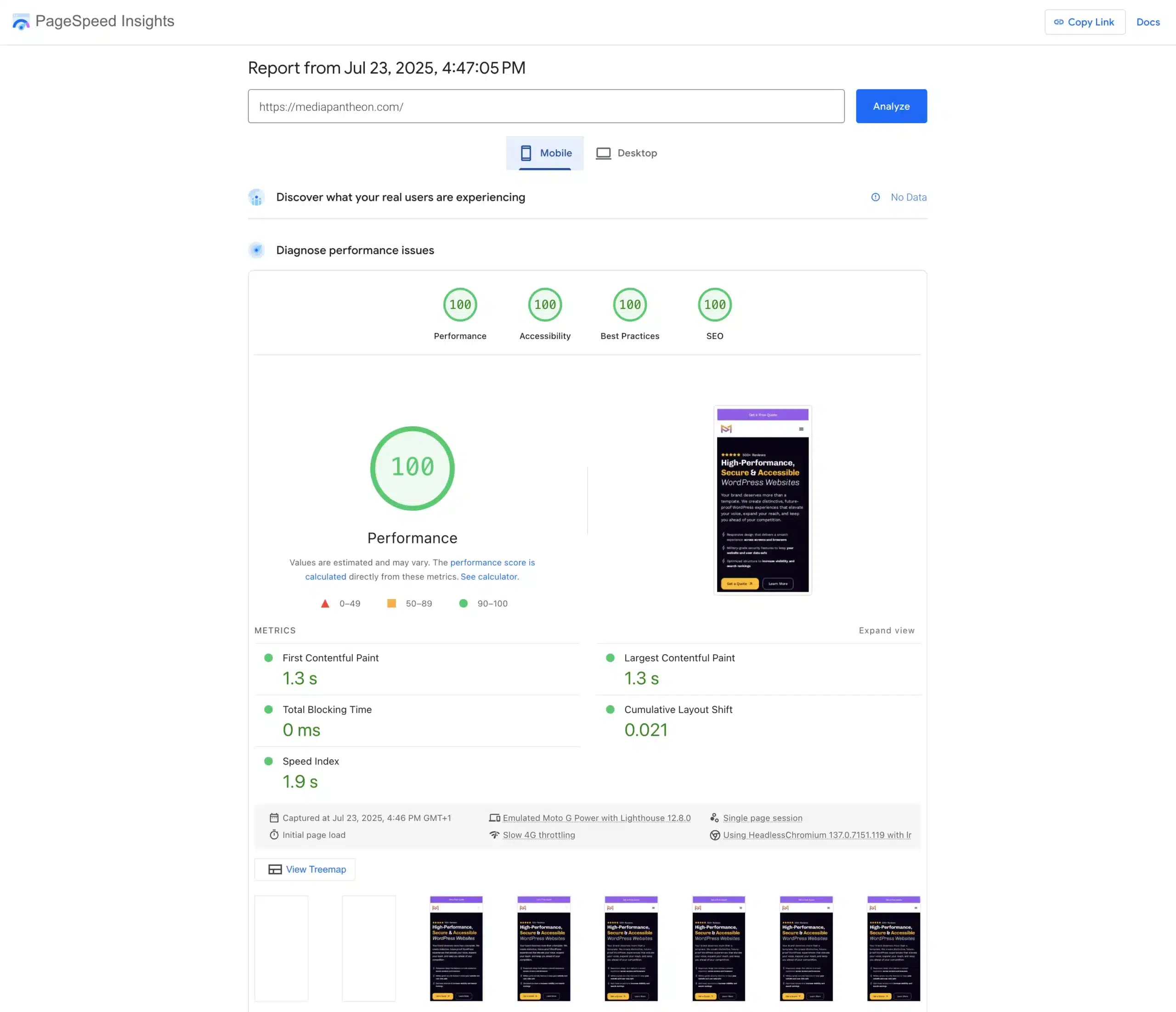 Media Pantheon's Google PageSpeed Insights mobile report showing perfect 100 scores across all metrics